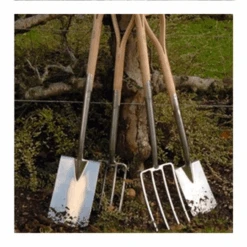 Burgon & Ball RHS Spitvork 4 Tanden -Tuinmateriaal Verkoop image 324