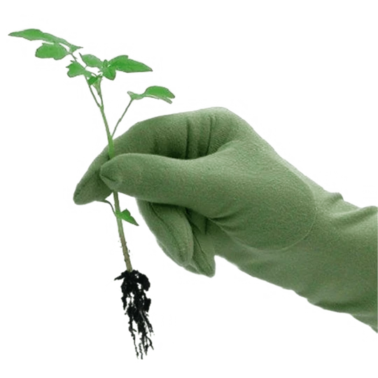 De Wiltfang Foxgloves Original 3 De Wiltfang Foxgloves Original