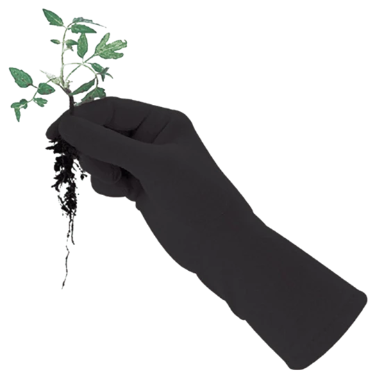 De Wiltfang Foxgloves Original 4 De Wiltfang Foxgloves Original - Afbeelding 2