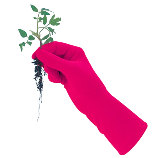 De Wiltfang Foxgloves Original 6 De Wiltfang Foxgloves Original - Afbeelding 4