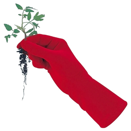 De Wiltfang Foxgloves Original 8 De Wiltfang Foxgloves Original - Afbeelding 6