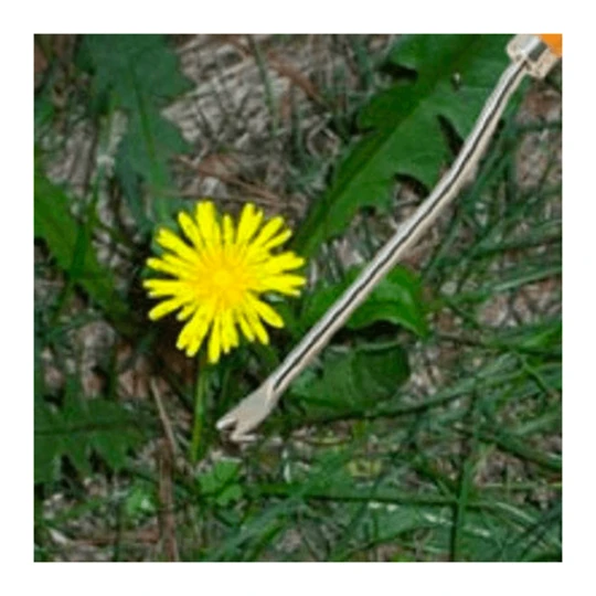 Burgon & Ball RHS Onkruidsteker - Verlengd 4 Burgon & Ball RHS Onkruidsteker - Verlengd - Afbeelding 2