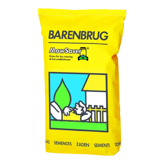 MRS Seeds & Mixtures Akkerflora 10-tal 4 MRS Seeds & Mixtures Akkerflora 10-tal - Afbeelding 2