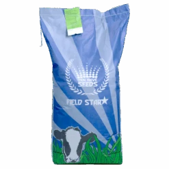 De Wiltfang Foxgloves Works Rood