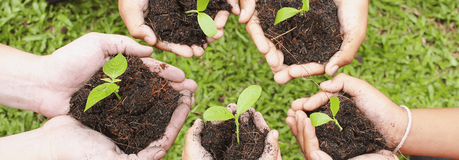 Tuinmateriaal Verkoop -Tuinmateriaal Verkoop grond en meststoffen n min